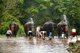Thailand: Bathing time at the waterfall, Patara Elephant Farm, Chiang Mai Province