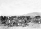 Palestine: Australian troops resting after the Battle of Megiddo between British Empire forces and Ottoman Turkish forces, 19-25 September, 1918